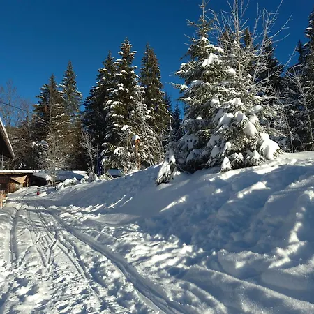 Nattersbergalm